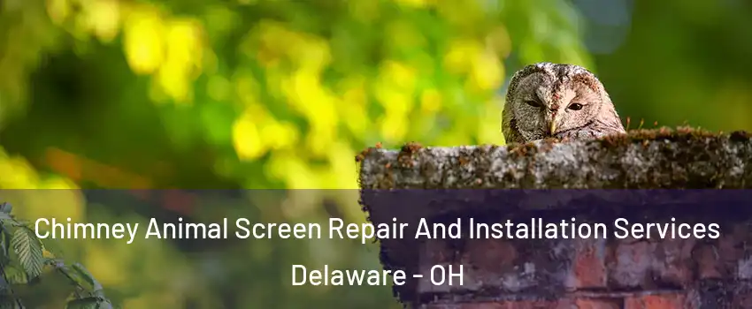  Chimney Animal Screen Repair And Installation Services Delaware - OH