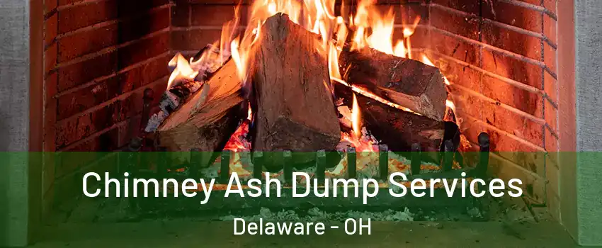  Chimney Ash Dump Services Delaware - OH
