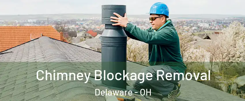  Chimney Blockage Removal Delaware - OH