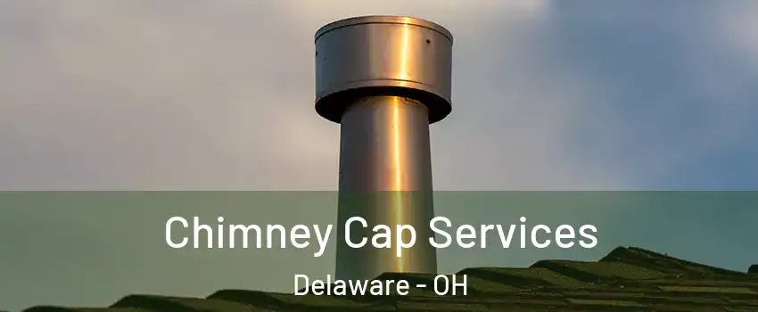  Chimney Cap Services Delaware - OH