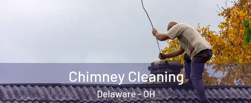  Chimney Cleaning Delaware - OH