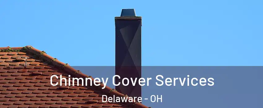  Chimney Cover Services Delaware - OH