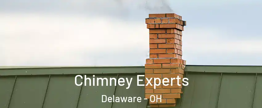  Chimney Experts Delaware - OH