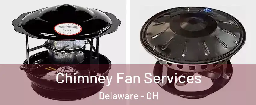  Chimney Fan Services Delaware - OH