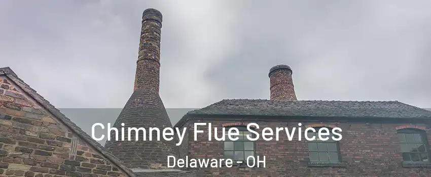  Chimney Flue Services Delaware - OH