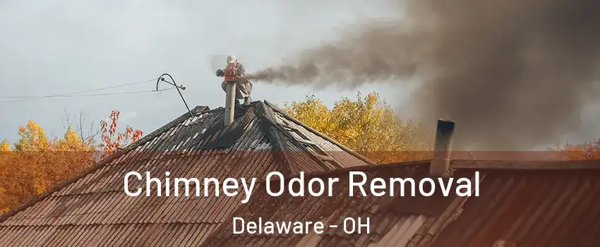  Chimney Odor Removal Delaware - OH