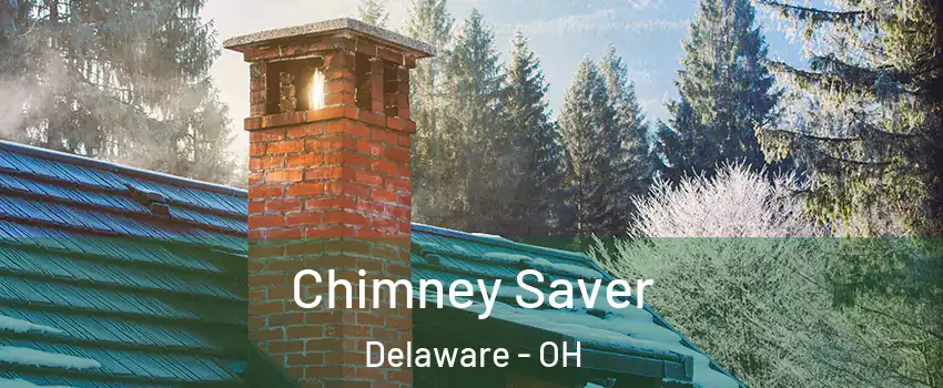 Chimney Saver Delaware - OH
