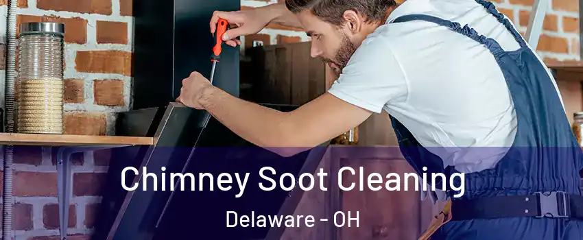  Chimney Soot Cleaning Delaware - OH