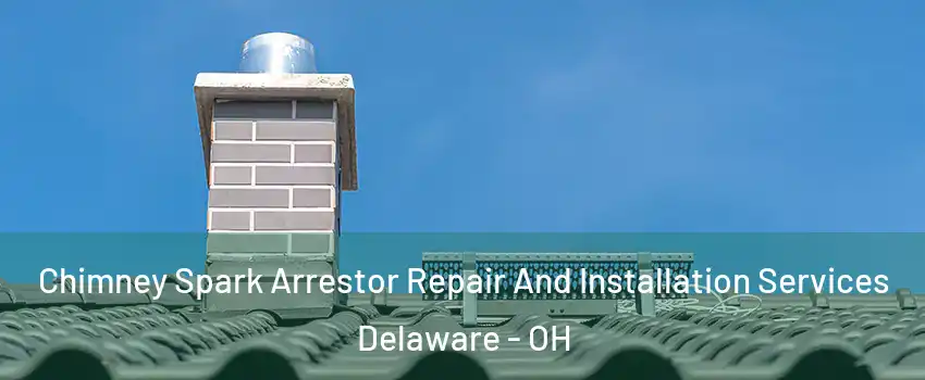  Chimney Spark Arrestor Repair And Installation Services Delaware - OH