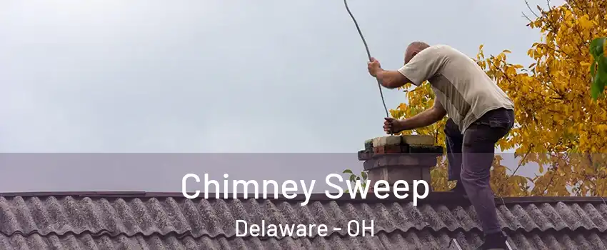  Chimney Sweep Delaware - OH