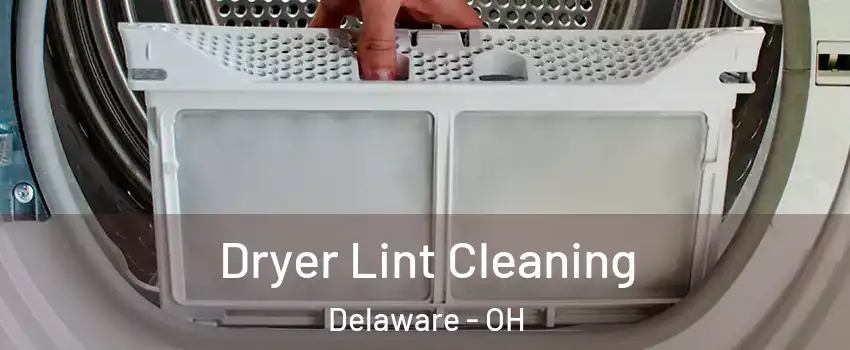  Dryer Lint Cleaning Delaware - OH