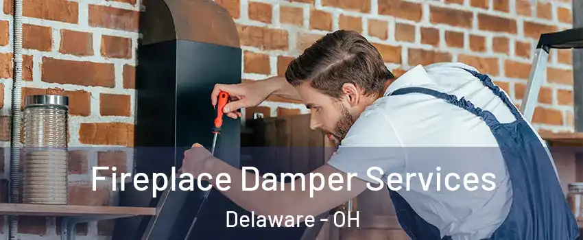  Fireplace Damper Services Delaware - OH