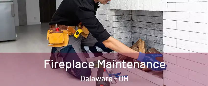  Fireplace Maintenance Delaware - OH