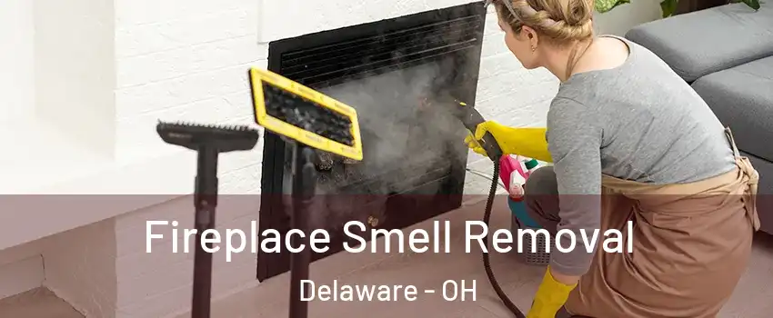  Fireplace Smell Removal Delaware - OH