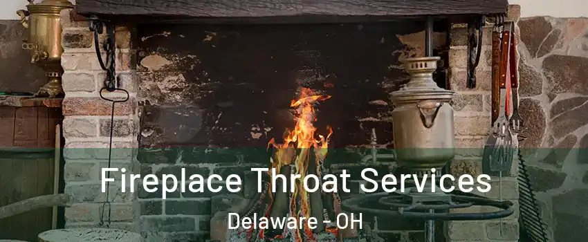  Fireplace Throat Services Delaware - OH
