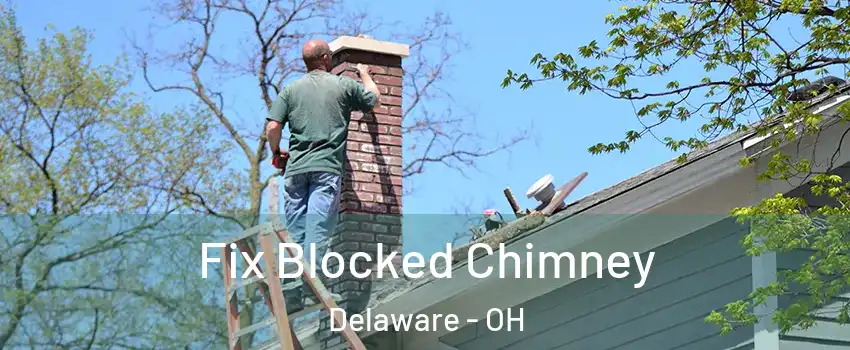  Fix Blocked Chimney Delaware - OH