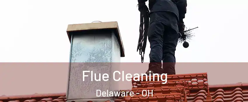  Flue Cleaning Delaware - OH