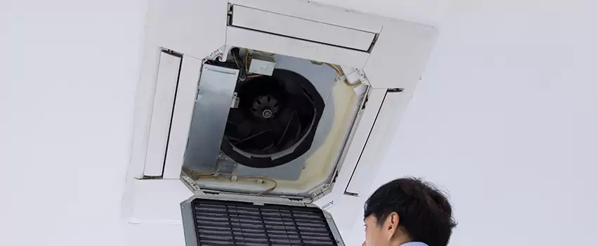 Benefits of Professional Air Duct Cleaning in Delaware, Ohio