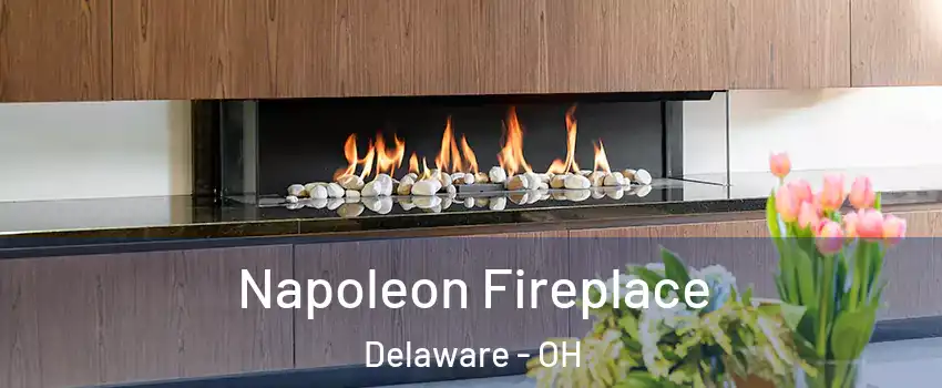 Napoleon Fireplace Delaware - OH