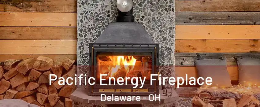  Pacific Energy Fireplace Delaware - OH
